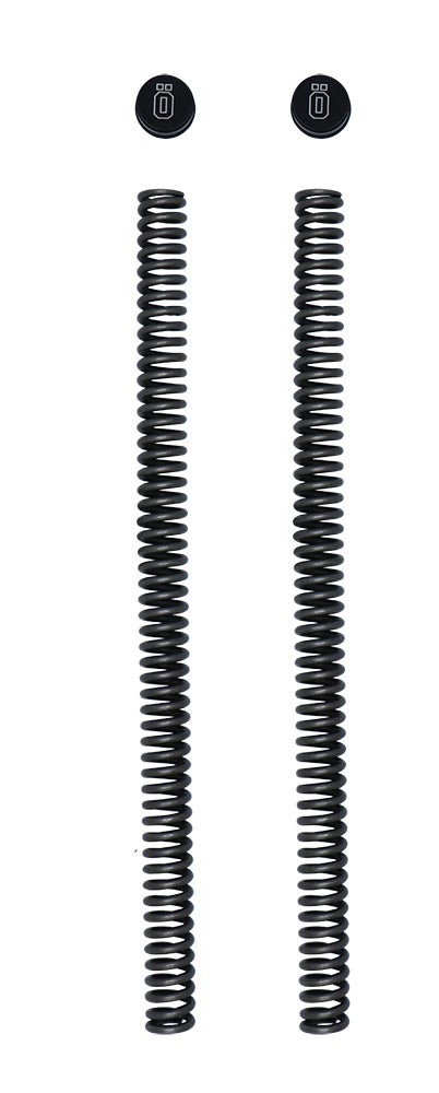 Triumph Bonneville T100 Top cap and Spring KIT